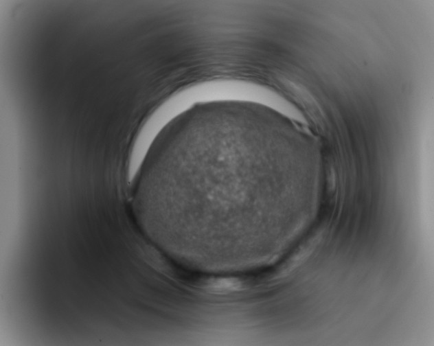 X0000091930409200709261918