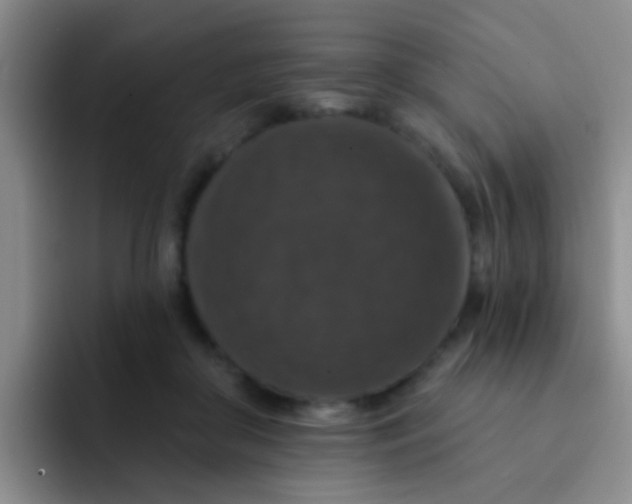 X0000091930410200709261918