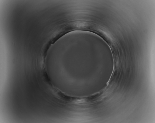 X0000091930411200709261918