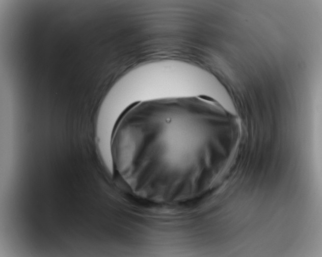X0000091930412200709261918