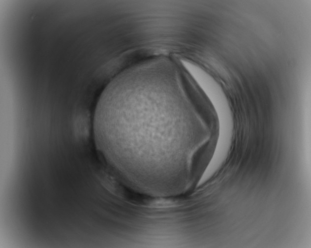X0000091930413200709261918