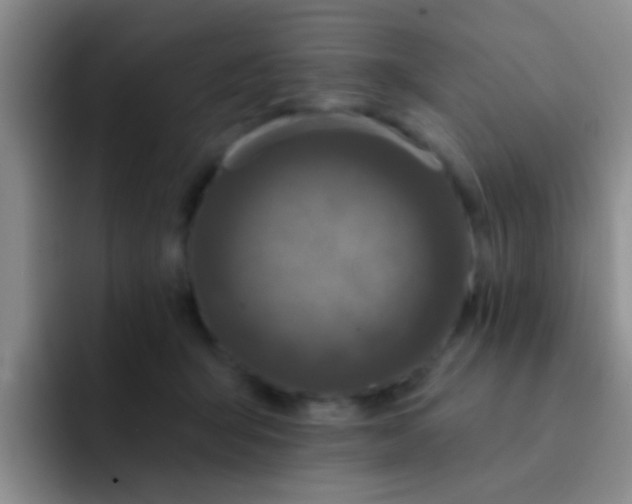 X0000091930415200709261917