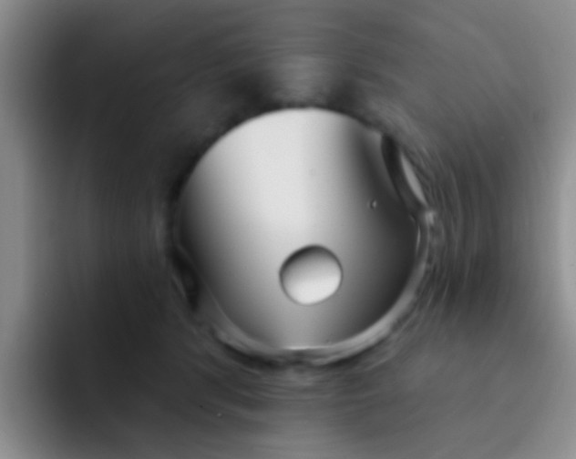 X0000091930416200709261917