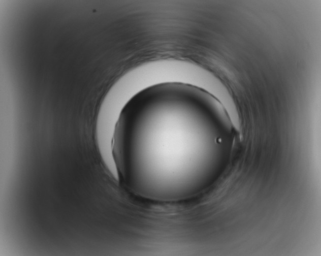 X0000091930417200709261917