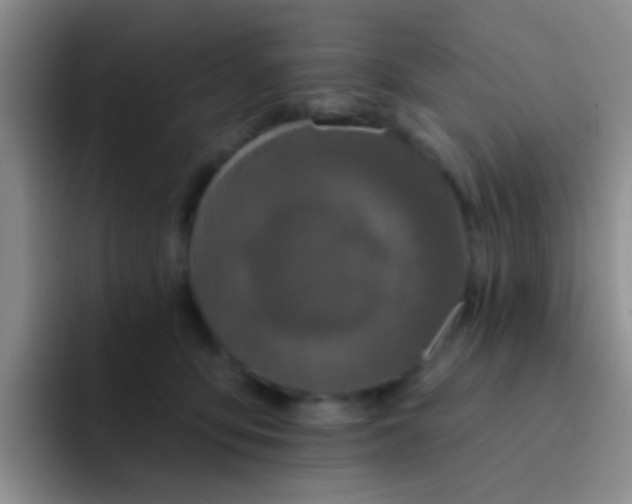 X0000091930419200709261917