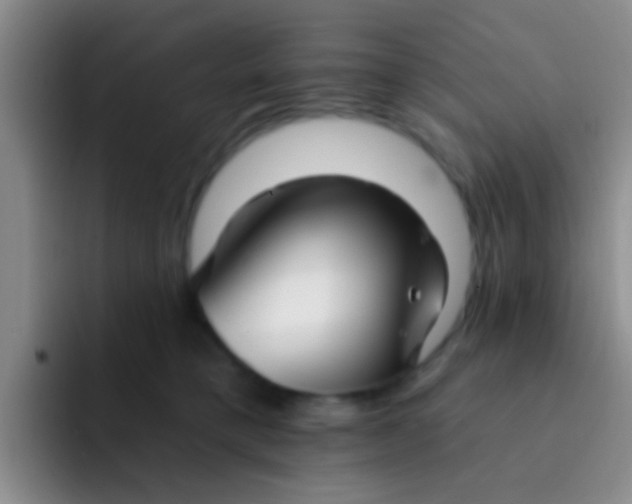 X0000091930421200709261917