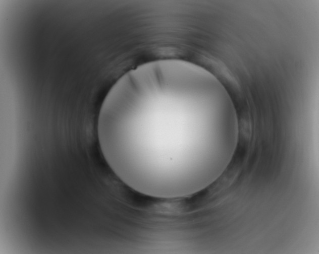 X0000091930422200709261917