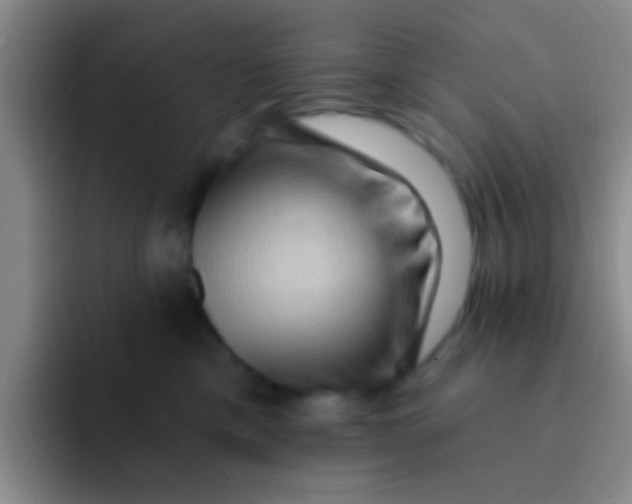 X0000091930425200709261917