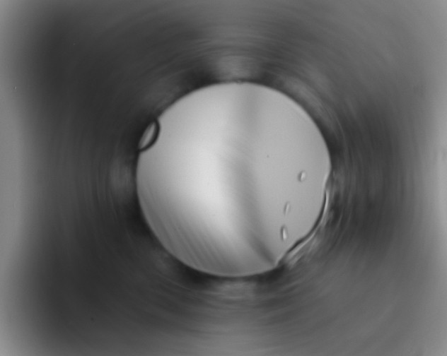 X0000091930426200709261917