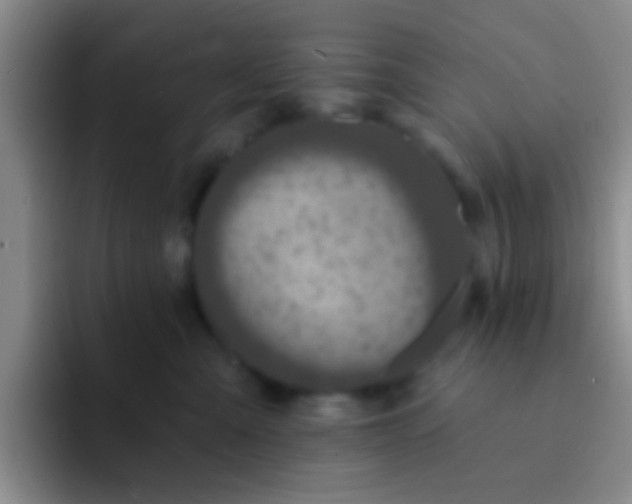X0000091930427200709261917