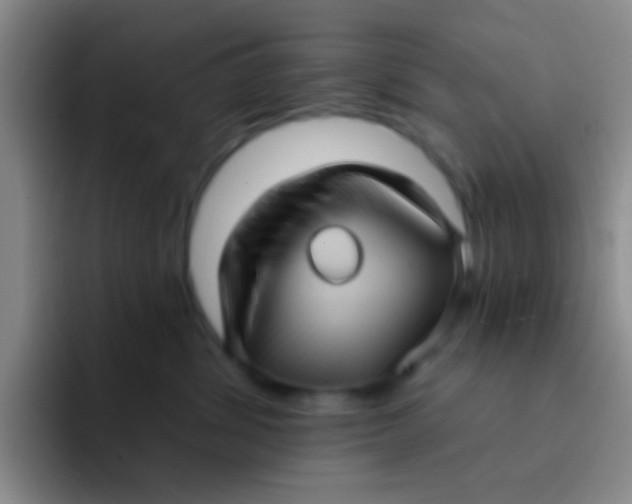 X0000091930428200709261917