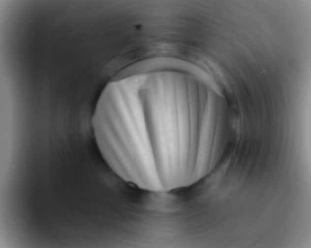X0000091930429200709261917