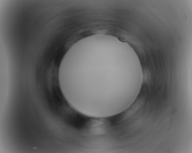 X0000091930431200709261917