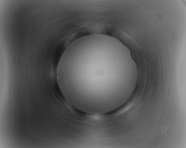 X0000091930432200709261917