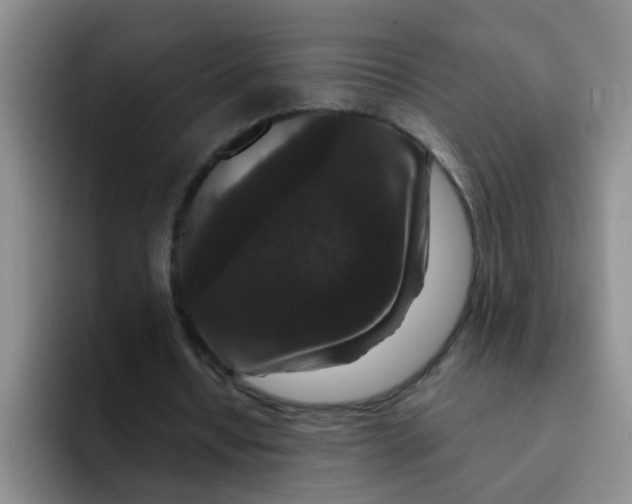 X0000091930434200709261917
