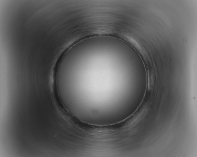 X0000091930435200709261917