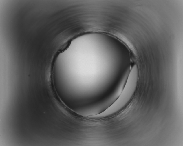 X0000091930437200709261917