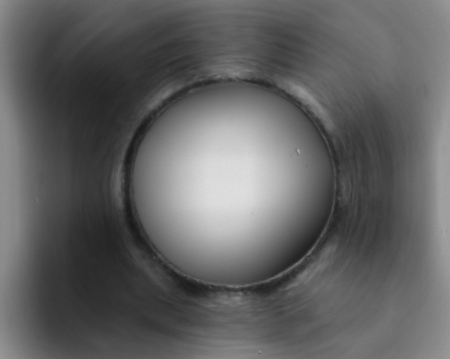 X0000091930439200709261917