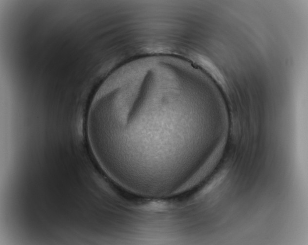 X0000091930441200709261917