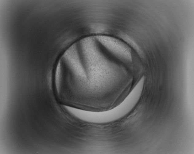 X0000091930442200709261917