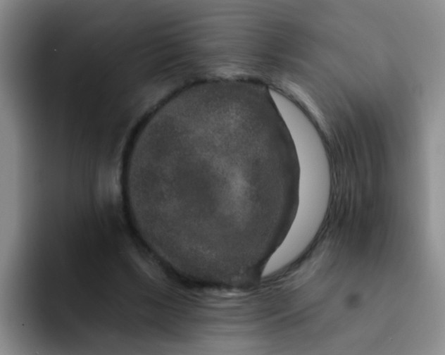 X0000091930443200709261917