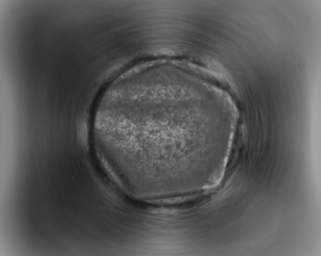 X0000091930444200709261917