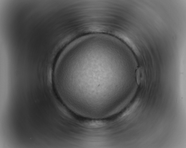 X0000091930445200709261917