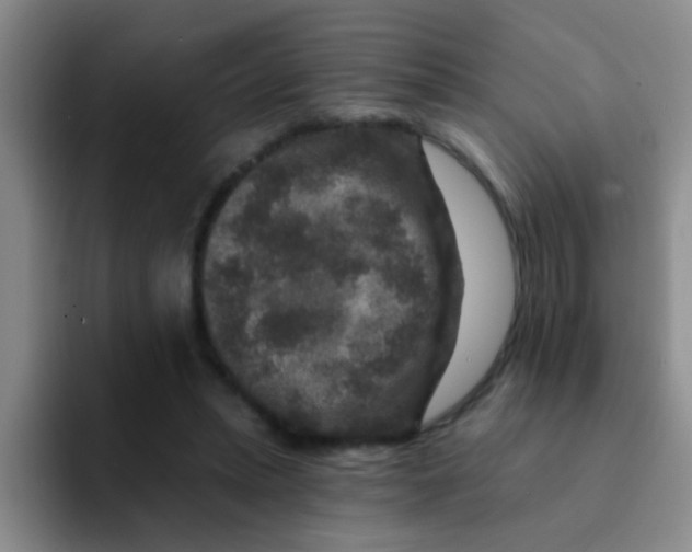 X0000091930447200709261917