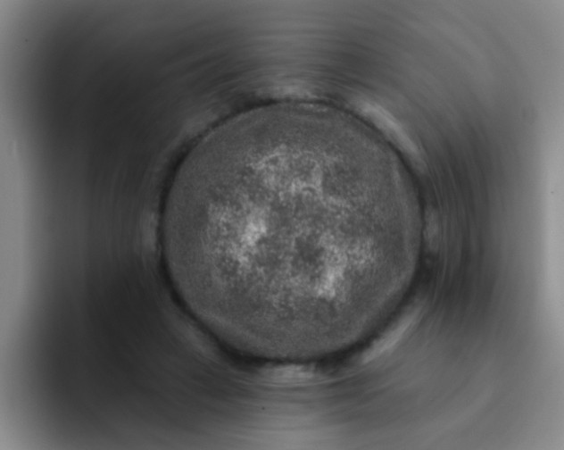 X0000091930449200709261917