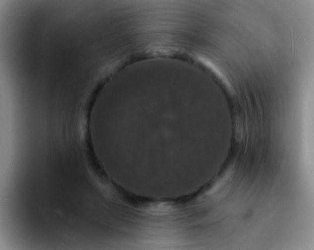 X0000091930451200709261917