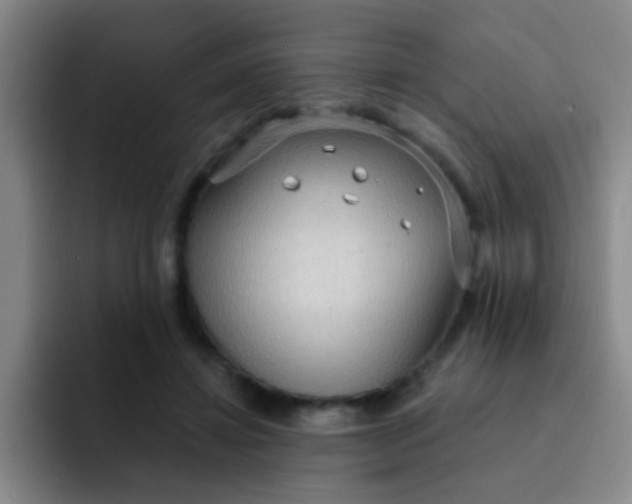 X0000091930452200709261917