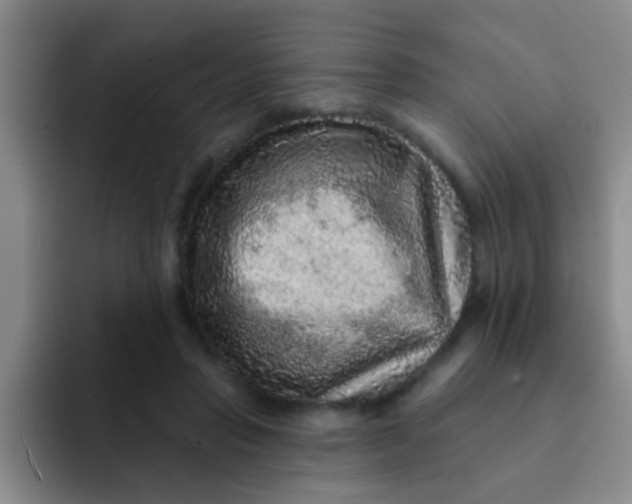 X0000091930453200709261917