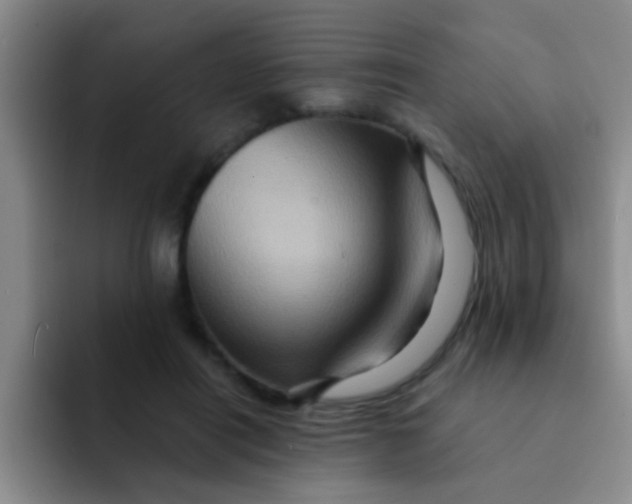 X0000091930454200709261917