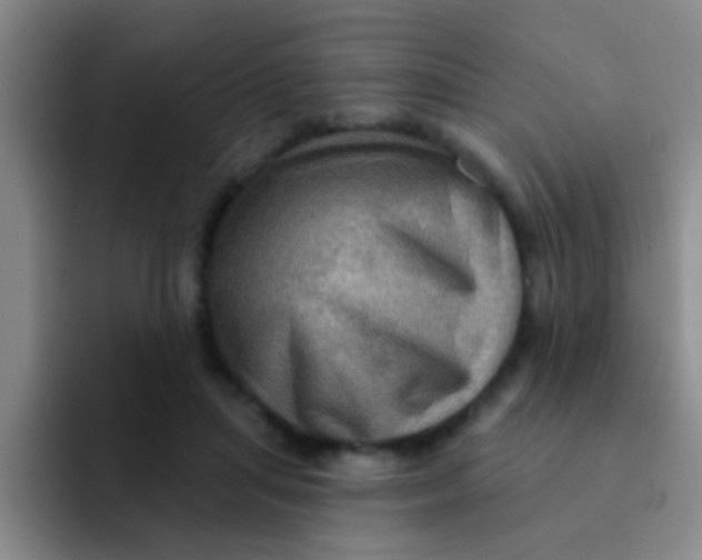 X0000091930455200709261917