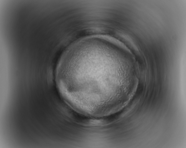 X0000091930457200709261917