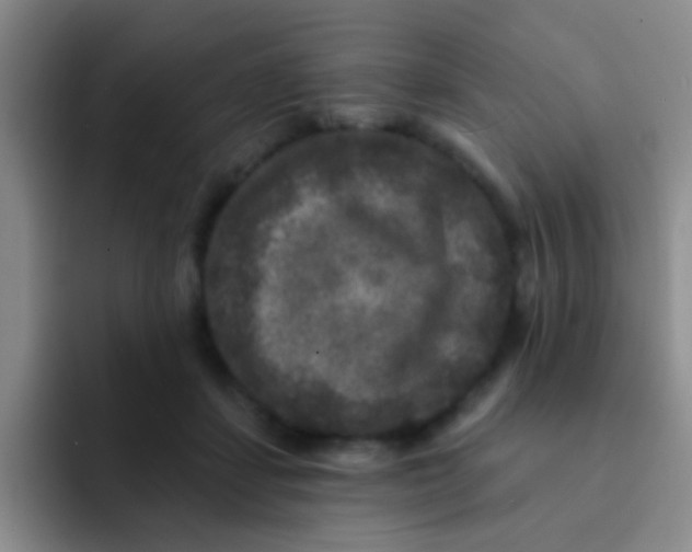 X0000091930459200709261917