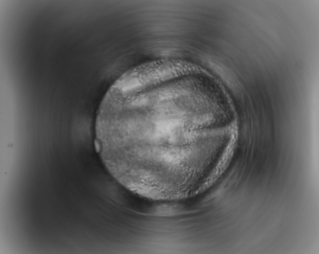X0000091930461200709261917