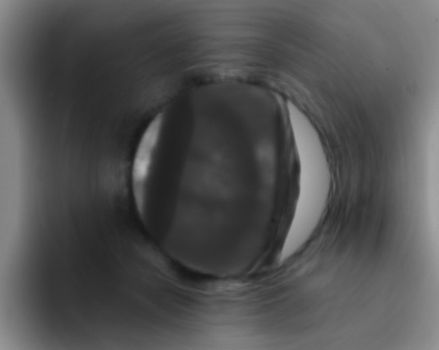 X0000091930462200709261917