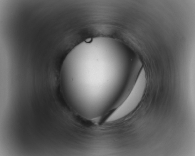 X0000091930464200709261917