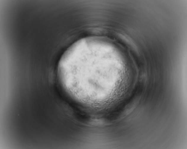 X0000091930469200709261917