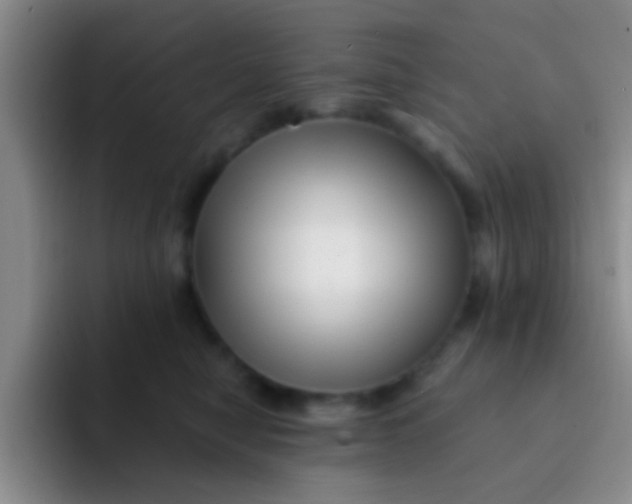 X0000091930470200709261917