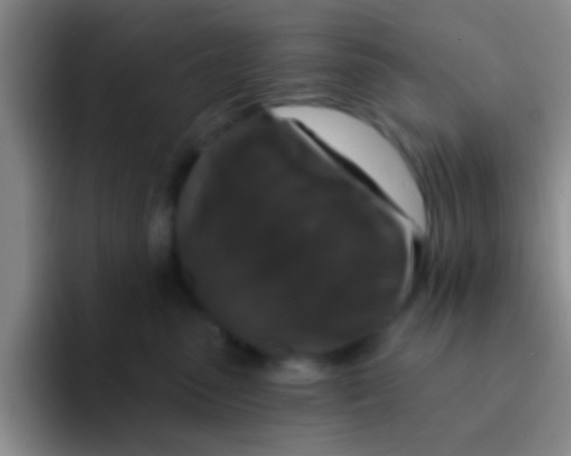 X0000091930475200709261917