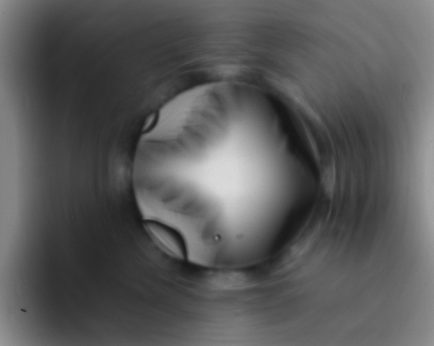 X0000091930476200709261917