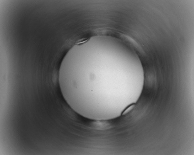 X0000091930477200709261917