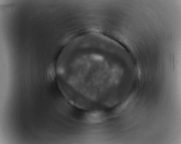 X0000091930479200709261917