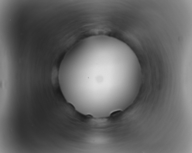 X0000091930480200709261917