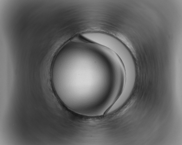 X0000091930481200709261917