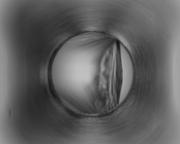 X0000091930482200709261917