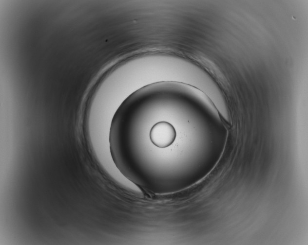 X0000091930484200709261917