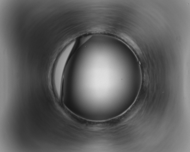 X0000091930485200709261917